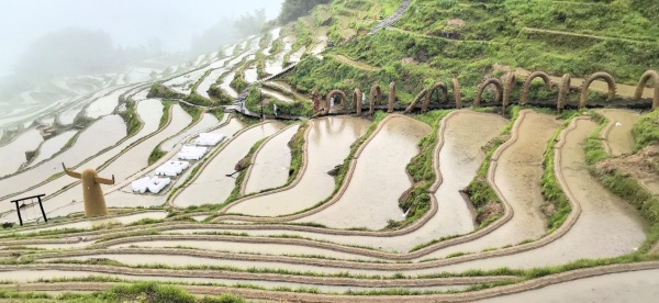 20250812164030689afdfe0bd77.jpg 云和梯田.jpg